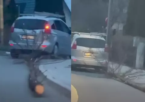 Un șofer a târât pe șosea un trunchi de copac, lung de 16 metri, chiar pe lângă trotuar. Ce spune primarul din Bistrița