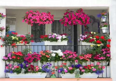 7 secrete care-ți transformă balconul în paradisul florilor: cum să ai o oază de culoare și parfum vara aceasta