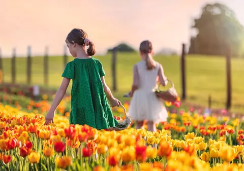 Ce poți face primăvara cu 5 euro în Ungaria, la o oră de Timișoara. Tot mai mulți români iau în calcul această variantă