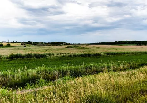 Un fermier român a plătit 12.000 de euro pentru un hectar de teren în extravilan, fără drum sau irigații, în comuna Gruiu din Ilfov