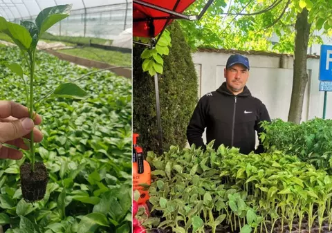 Un român s-a întors din Anglia după 9 ani ca să facă agricultură în țară, dar a aflat de ce nu merge nimic: „N-avem soluții”