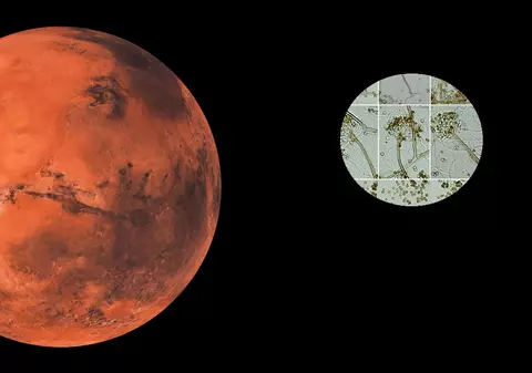 Cum poate fi contaminată planeta Marte: „Specie invazivă care poate compromite colonizarea”