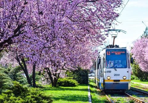 Program STB de Paște: Tramvaiul 41 și liniile de noapte din București, active până la ora 3 dimineața în noaptea de sâmbătă spre duminică