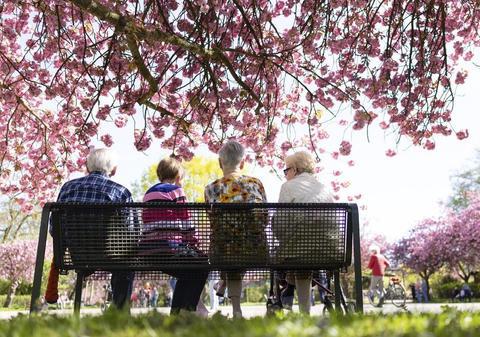 Presiune uriașă pe sistemul de pensii: Tot mai puțini angajați susțin armata de pensionari a României