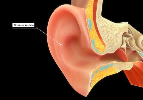 O terapie nouă poate reda auzul. Medicii spun cum se tratează surditatea într-o lună