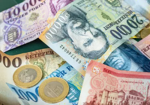 Cum a primit o fundație UDMR din Cluj-Napoca miliarde de forinți de la Fondul de Jocuri de Noroc al Ungariei, înainte de alegeri