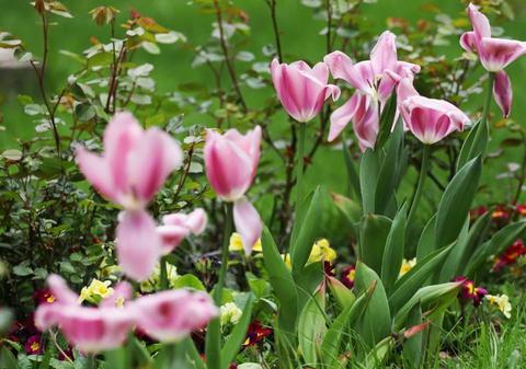 Cum va fi vremea mâine. Prognoza meteo pentru marți, 28 aprilie 2026