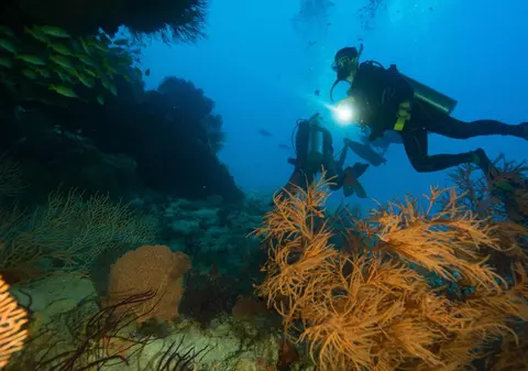 Cinci turiști italieni au murit în vacanță în Maldive. Printre ei, o profesoară universitară și fiica ei de 20 de ani