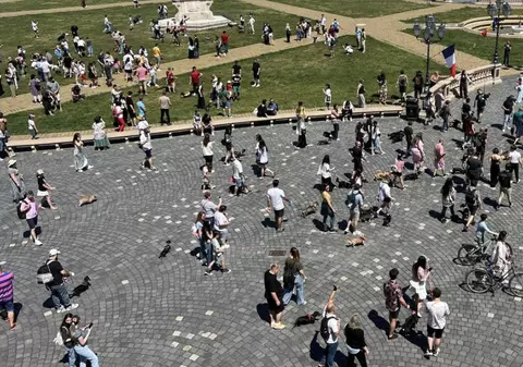 Rochițe, bandane și multă încăpățânare. Zeci de teckeli au luat cu asalt Timișoara la „Marea Plimbare a Șoricarilor”