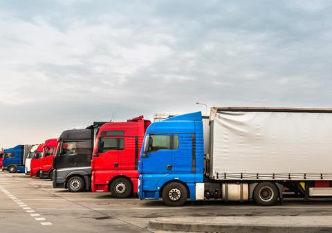 Doi români s-au dat drept polițiști și au furat mii de euro de la un șofer de TIR, într-o parcare din Ungaria