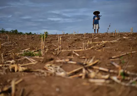 Fenomenul El Niño este inevitabil în 2026, anunță meteorologii: „Va agrava seceta şi ploile şi va creşte riscul de valuri de căldură”