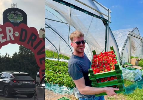 Drive-in în plantația de căpșuni. Clienții așteaptă cu orele la coadă pentru fructele perfecte, în Germania