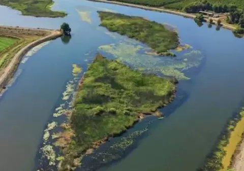 O insulă privată de peste două hectare, scoasă la vânzare pentru doar 39.000 de dolari, în California