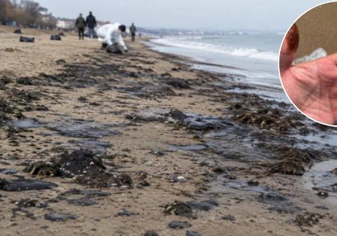 Plajele din Bulgaria, acoperite de păcură neagră din cauza poluării: ce zone de la Marea Neagră sunt afectate în plin sezon