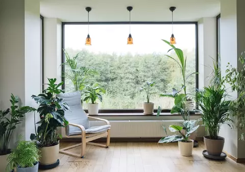 Urban Jungle: adaugă „viață” în designul interior