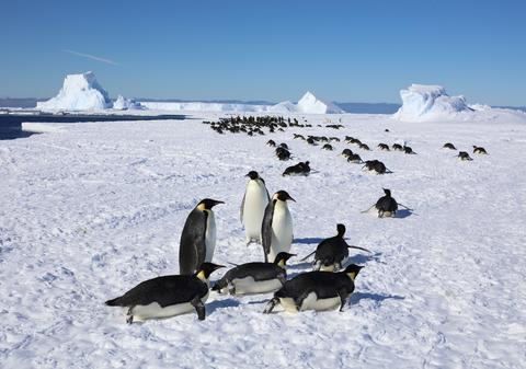 Cea mai scăzută temperatură de pe Pământ din ultimii 14 ani, înregistrată în Antarctica. Termometrele au indicat -84,1°C