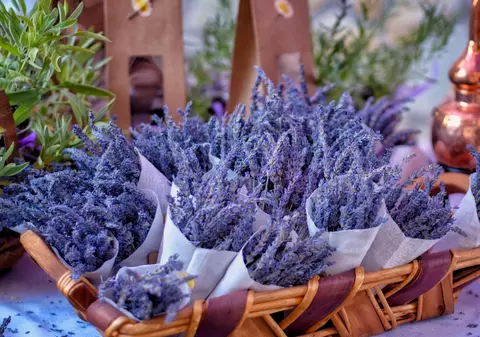 Cât costă un buchet de lavandă în centrul orașului Timișoara: prețurile pe care le plătesc românii și pentru alte produse din plante