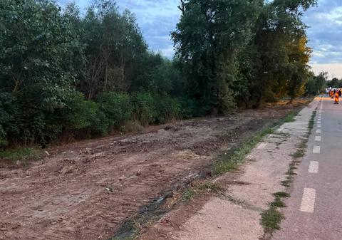 1.000 de arbori vor fi tăiaţi pentru modernizarea de 45 de milioane de euro a falezei Dunării din Galați