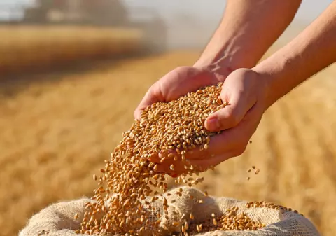 Alimentele s-ar putea scumpi, după ce valul de căldură din Europa a distrus culturi de două miliarde de euro