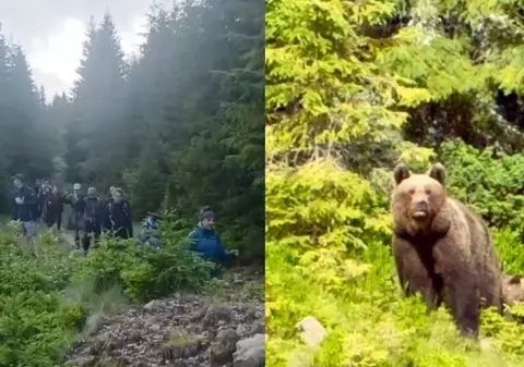 37 de turiști polonezi au fost coborâți de jandarmi de pe munte după ce s-au întâlnit cu o ursoaică și puiul ei pe traseu, la Vatra Dornei