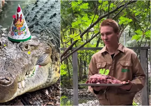 Crocodilul Fidel a împlinit 40 de ani și a fost răsfățat cu un tort din carne de vită | VIDEO