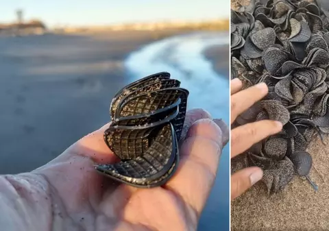 Plajele de la Marea Adriatică, acoperite de dischete negre din plastic: „Sunt un simbol al poluării care continuă să amenințe”