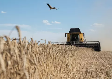 Fermierii români cer verificarea cerealelor din Ucraina care tranzitează Republica Moldova şi intră ulterior pe teritoriul României
