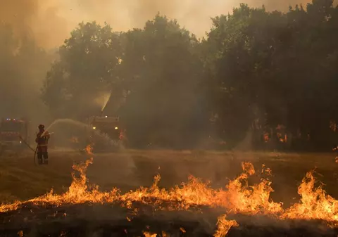 Un porumbel a provocat un incendiu care a distrus 2,5 hectare de vegetație în Franța