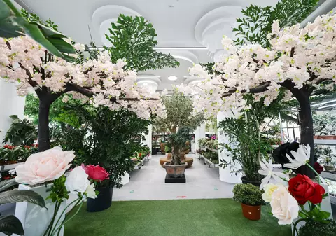 Mall-ul de plante din București are cinci niveluri cu peste 1.200 de soiuri, ghivece inteligente și un mesteacăn artificial care costă cât un apartament