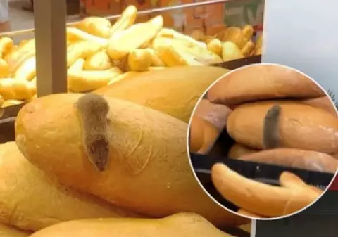 Șoarece filmat printre pâini într-un supermarket Kaufland, în Slovacia: „Mereu «proaspăt»”