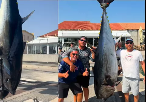 Trei frați au prins un ton roșu de 230 kg și 2,6 metri. Captura din Marea Mediterană poate valora peste 20.000 de euro