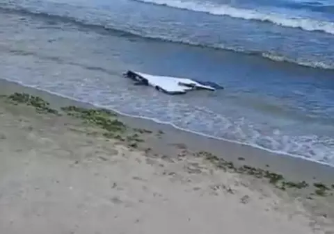 Două fragmente de dronă, descoperite vineri în Marea Neagră: obiectul găsit la Sulina avea încărcătura explozibilă