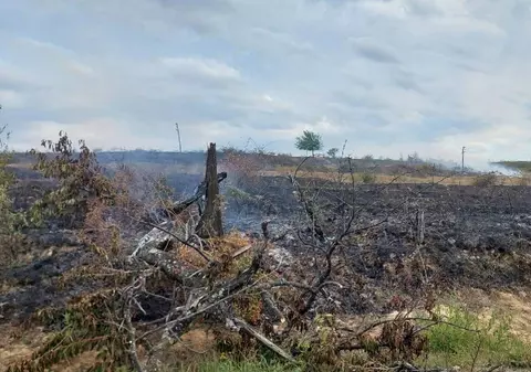 25 de hectare pârjolite de incendiu la Mizieș, în Bihor, iar vântul puternic împinge flăcările spre case