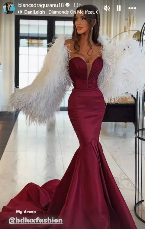 Bianca Drăgușanu (13)