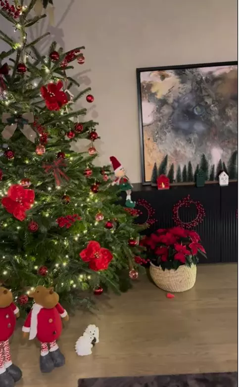 Casă Adela Popescu și Radu Vâlcan (2)