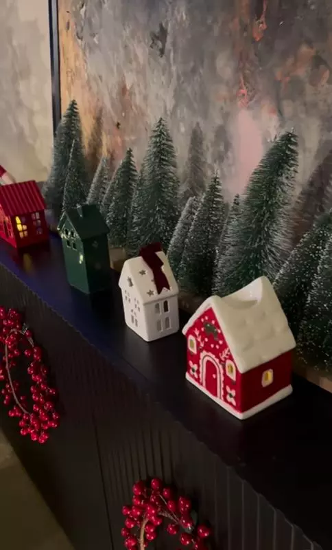 Casă Adela Popescu și Radu Vâlcan (3)