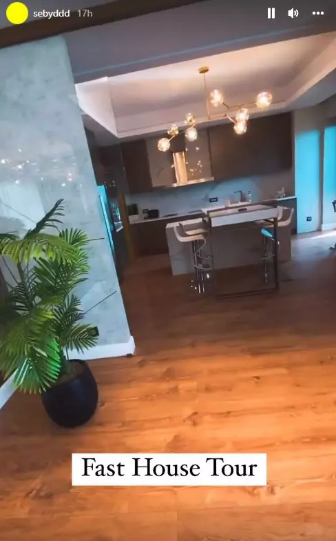 sebastian-dobrincu-casa-1