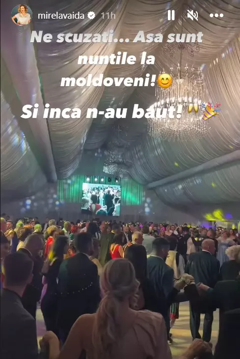 mirela-vaida-la-nunta-cosminei-adam-4