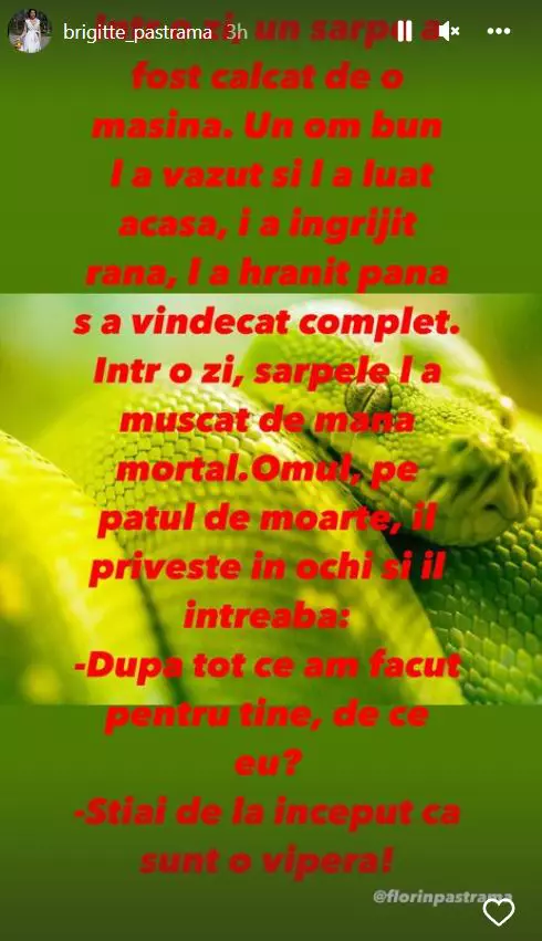 brigitte-pastrama-mesaj