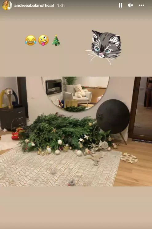 andreea-balan-brad-daramat-2