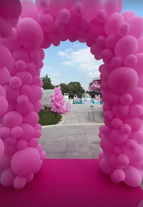 zenaida-petrecere-zi-de-nastere-1