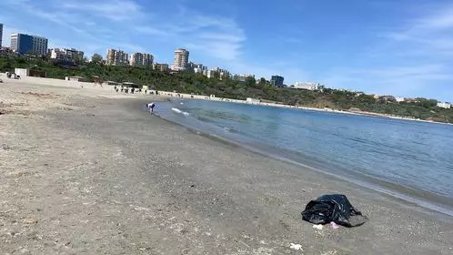 delfin-mort-plaja-modern-2