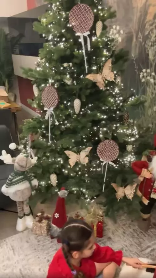 Cristina Șișcanu - imagini casă decorată de Crăciun (4)
