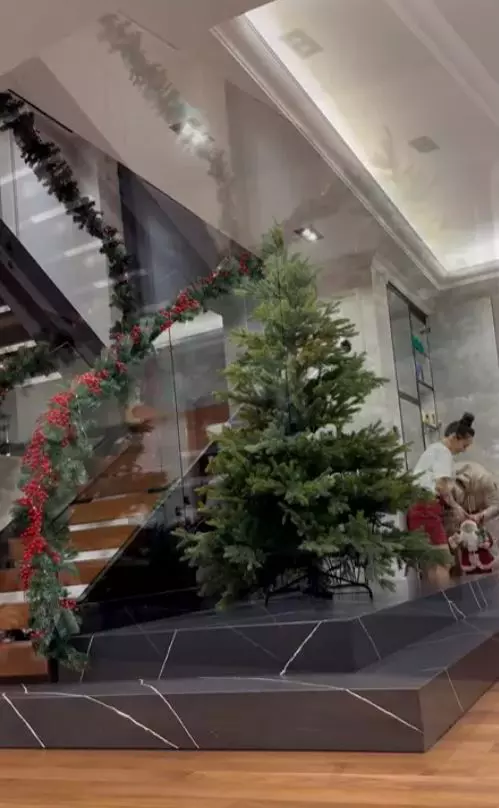 Vlăduța Lupău imagini casă (20)