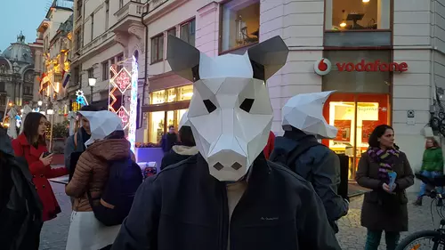 Veganii au ieșit în Centrul Vechi cu măști de porc pe față
