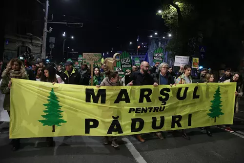 VIDEO / Aproximativ 500 de oameni participă la „marșul pentru păduri”, în București