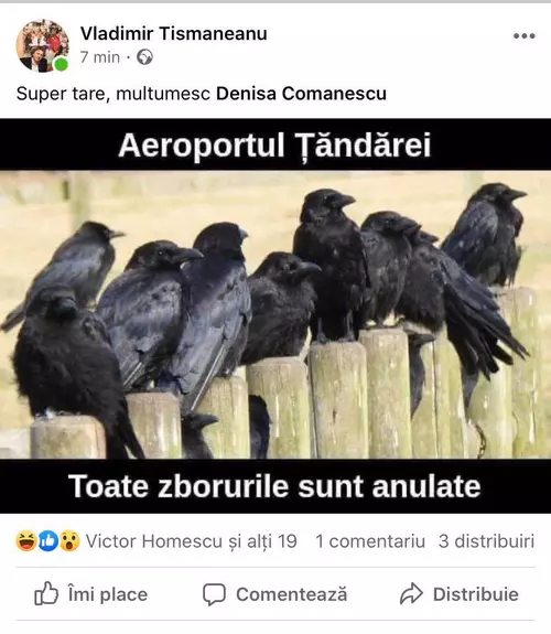 Tismăneanu, Cărtărescu și ciorile de la Țăndărei. Toate zborurile și toate responsabilitățile sunt anulate