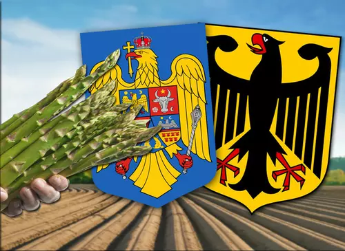 VIDEO EXCLUSIV. Operațiunea sparanghelul a început mai devreme. Firma Fritz Wassmer susține că românul mort de COVID în Germania “a cerut să nu fie dus la spital”