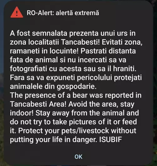 Un urs a fost văzut din nou lângă București. Autoritățile au emis un mesaj Ro-Alert