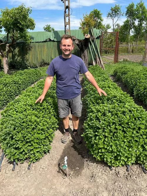Povestea de succes a lui „Alex cu menta, un tânăr întors din străinătate să cultive plante aromatice: „În patru luni se fac bani cât pentru tot anul